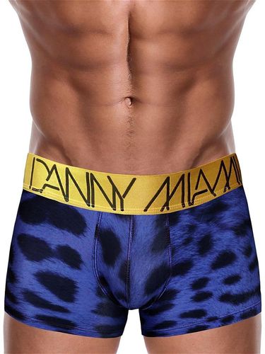 Danny Miami Raw