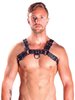 Harness Chest Leather