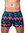 2Eros Print Swimshorts Euhedral Safari