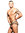 SHEER LEOPARD BRIEF ANDREW CHRISTIAN